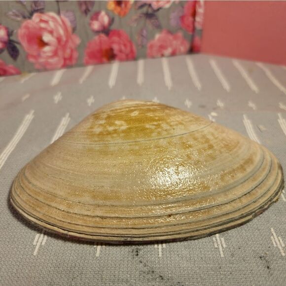 DECOUPAGE CLAM SHELL DECOUPAGE PINK FLOWERS ON A CLAM SHELL TRINKET DISH - Picture 10 of 10